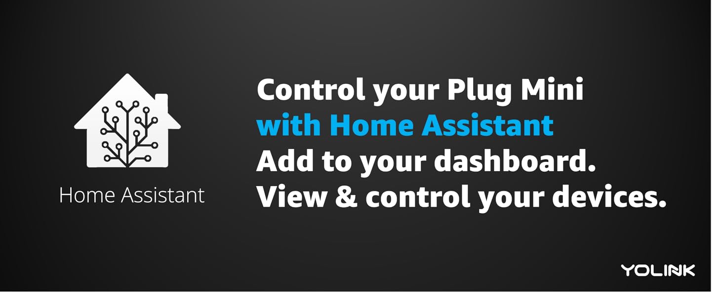 control your plug mini with home assistant