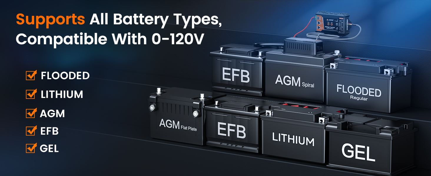 battery monitor with shunt