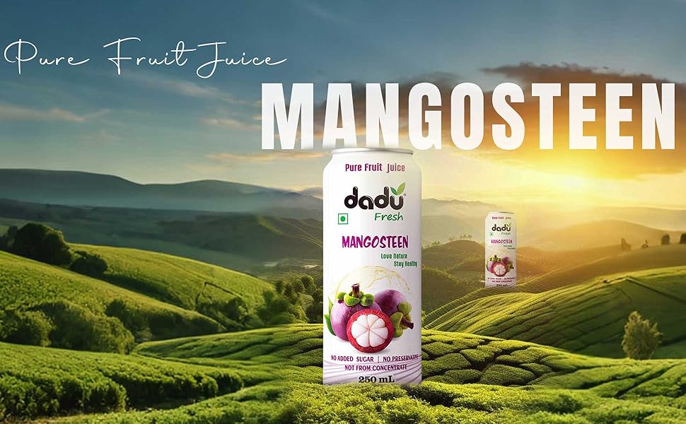 Large manufacture image 6