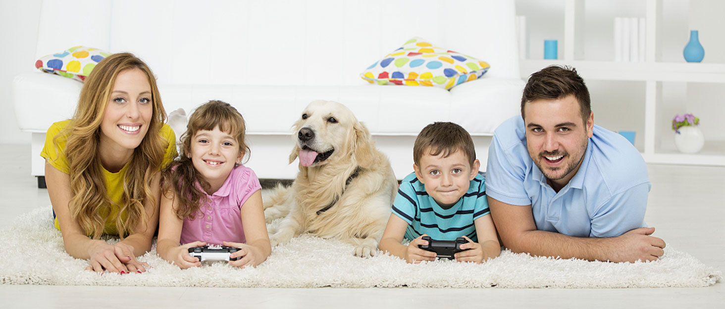 HIPTIS Large Lint Rollers for Carpet Floor 10" Wide with 4