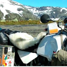 sheep skin rug large motorcycle bike