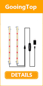 strip led plant