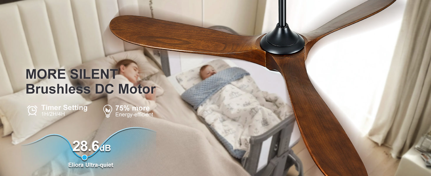 CEILING FAN WITH LIGHT