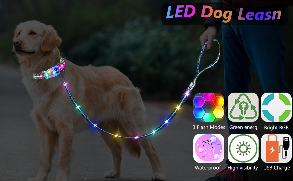 YUSHANG Light Up Dog Leash
