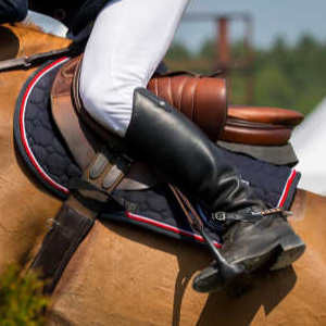 Zinc Alloy Narrow Spur