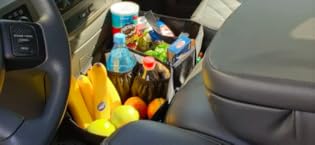 Backseat Organizer