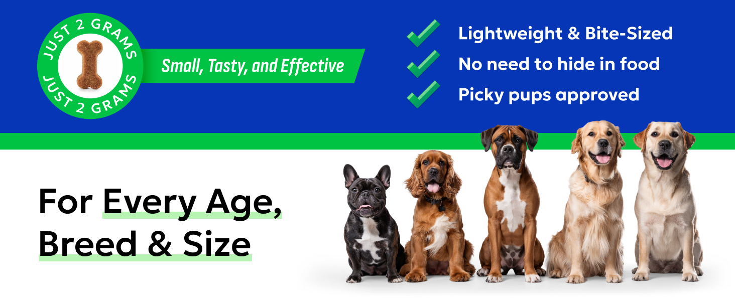 Dog treat advertisement featuring bone-shaped logo, product benefits, and diverse dog breeds. Highlights include lightweight, bite-sized treats suitable for all ages, breeds, and sizes.