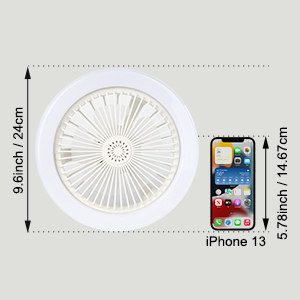 Fan Bulb