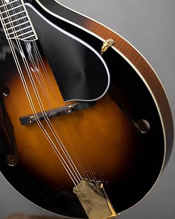 Amazon.com: Kentucky KM-252 Artist A-model Mandolin