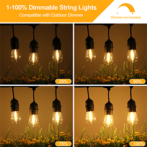 dimmable string lights