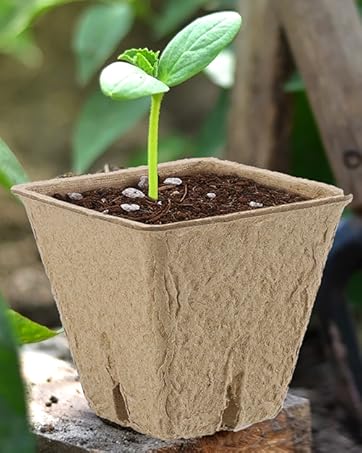 peat pot