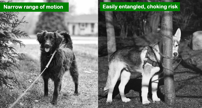Narrow Range of Motion, Entanglement Leading to Asphyxiation