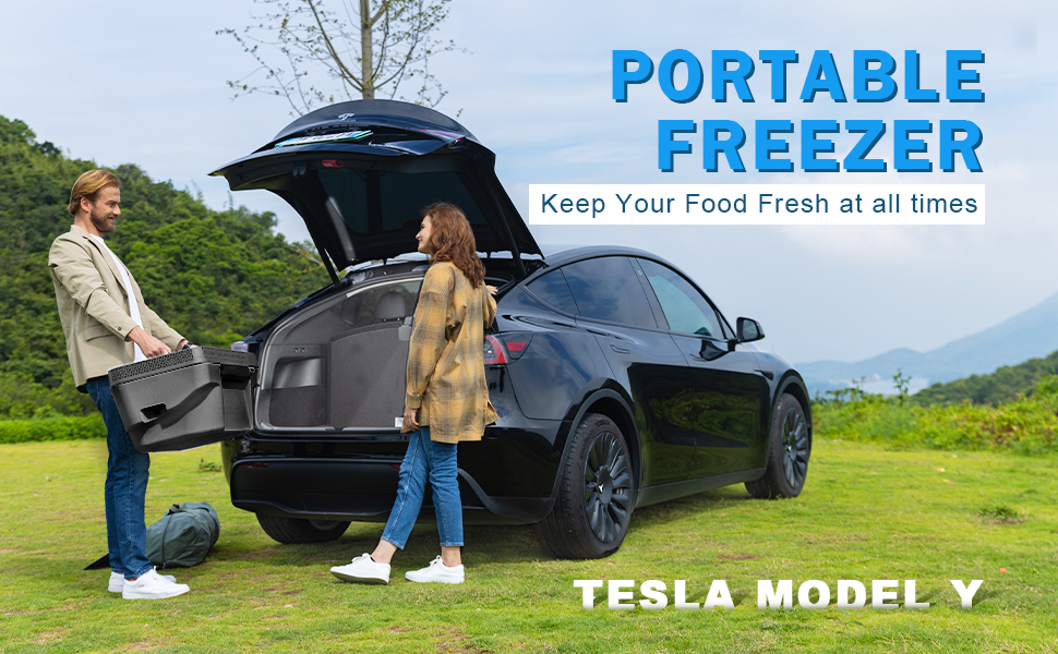 Tesla Model Y トランク フリーザー Amazon.com: CHERY INDUSTRIAL.COM Car Refrigerator 12 Volt