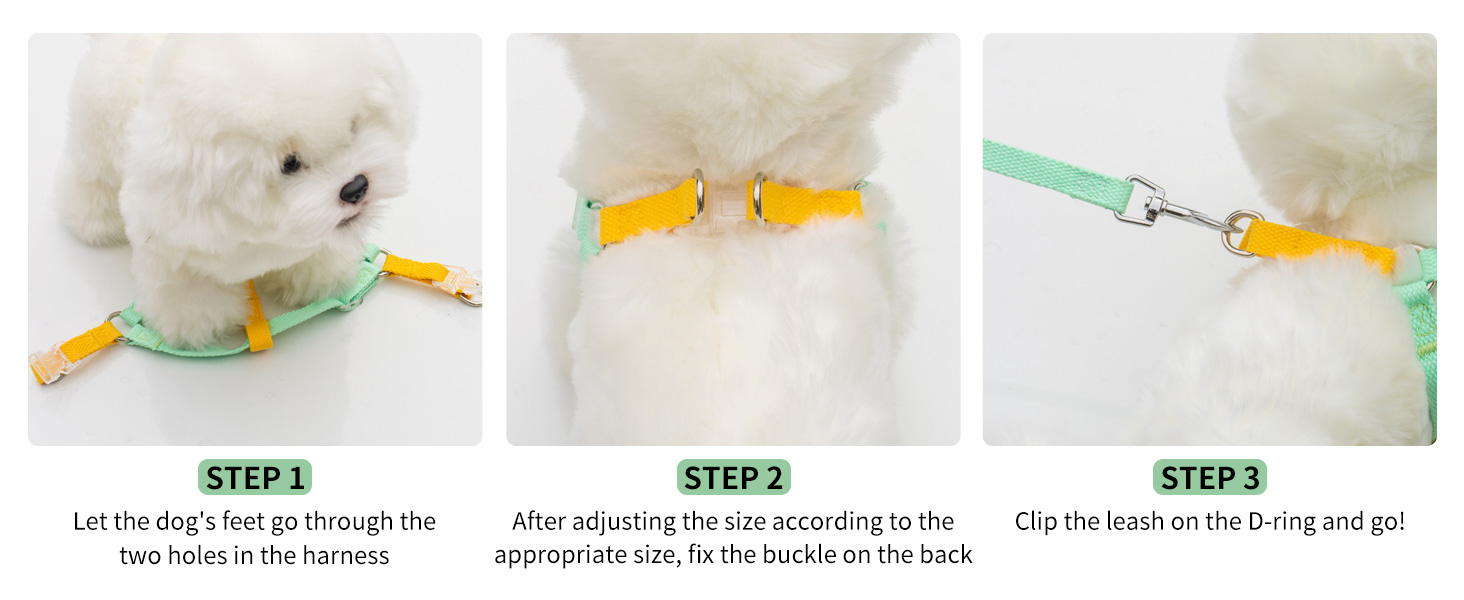AIITLE Step in Dog Harness & Leash & Collar - Multicolor Lightweight Dog Halter Harness