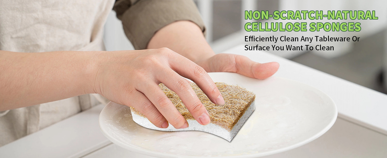 Scrubber Sponges Kitchen