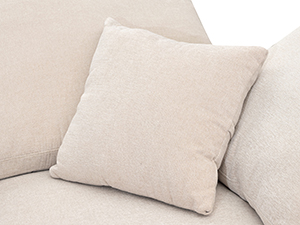 couch for living room