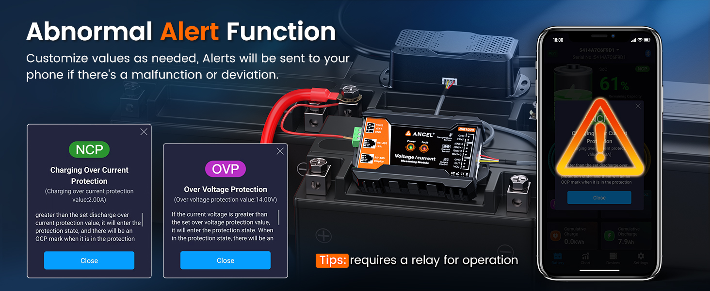 battery monitor with shunt