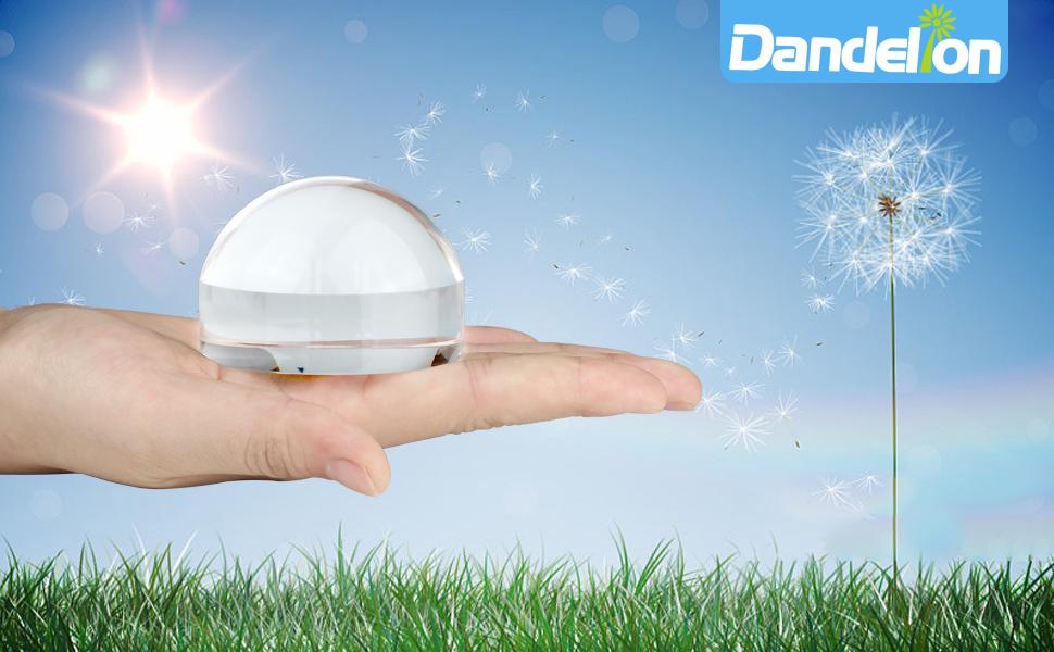 Large manufacture image 1