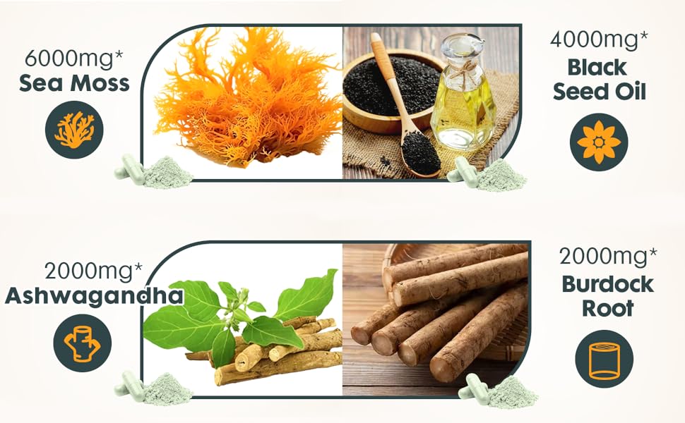 Sea Moss BLack Seed Oil Ashwagandha Burdock Root