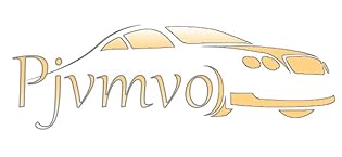 Original Parts Fuel Injectors