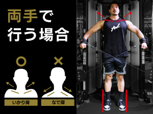 Amazon.co.jp: ALLOUT サイドレイズストラップ : スポーツ