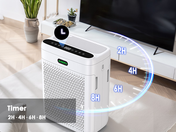 Air Purifiers with timer