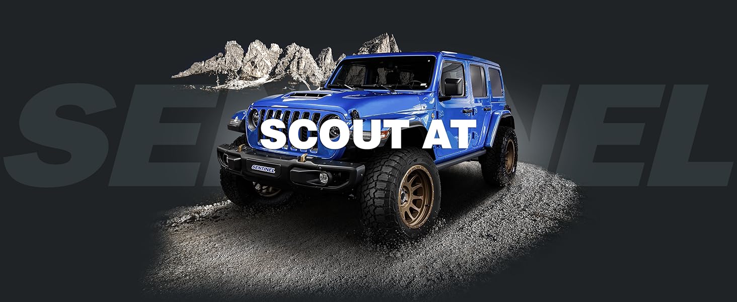 Sentinel AT Desktop Version