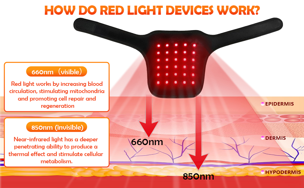  Red Light Therapy