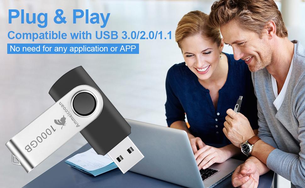 USB Flash Drive 1000GB, 2.0 USB Thumb Drives AmmEicooan