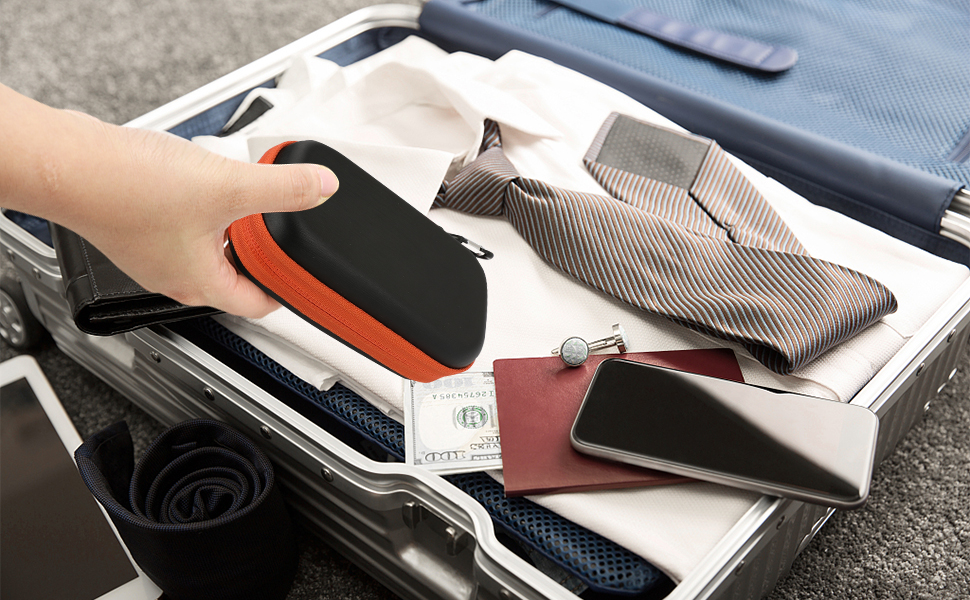 Sandisk Case