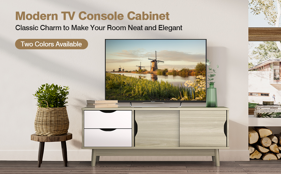 Modern TV Stand