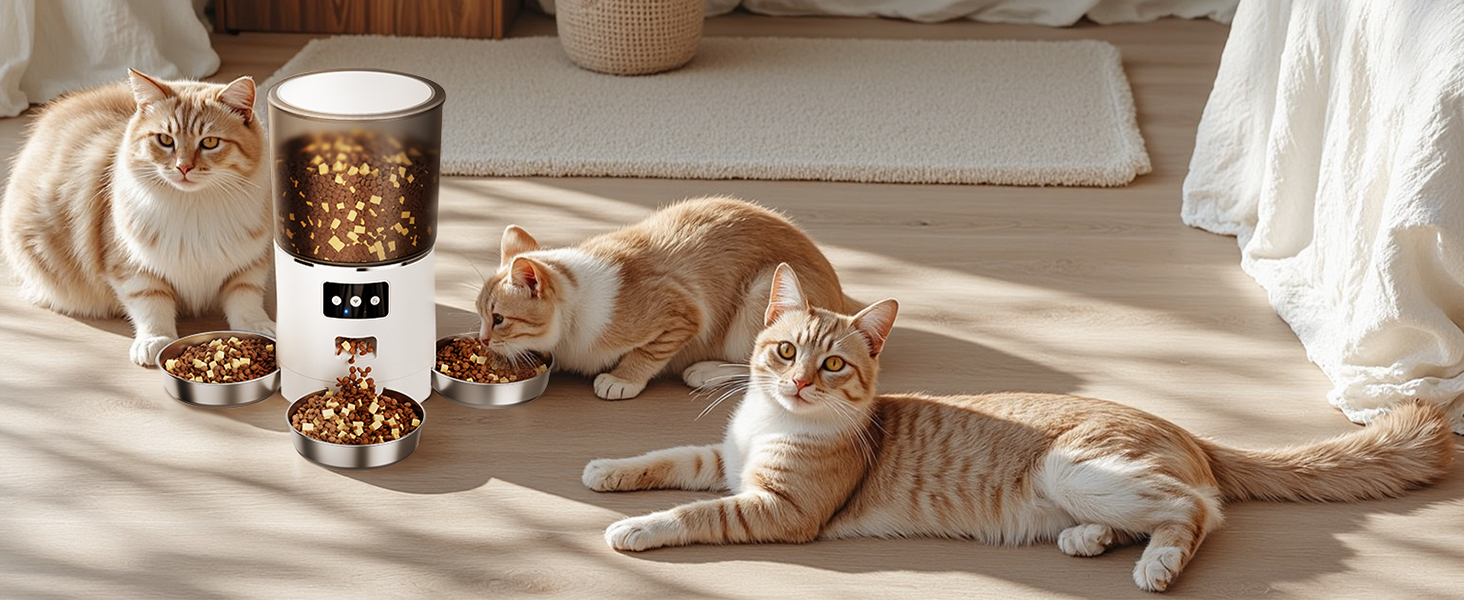 automatic cat feeders