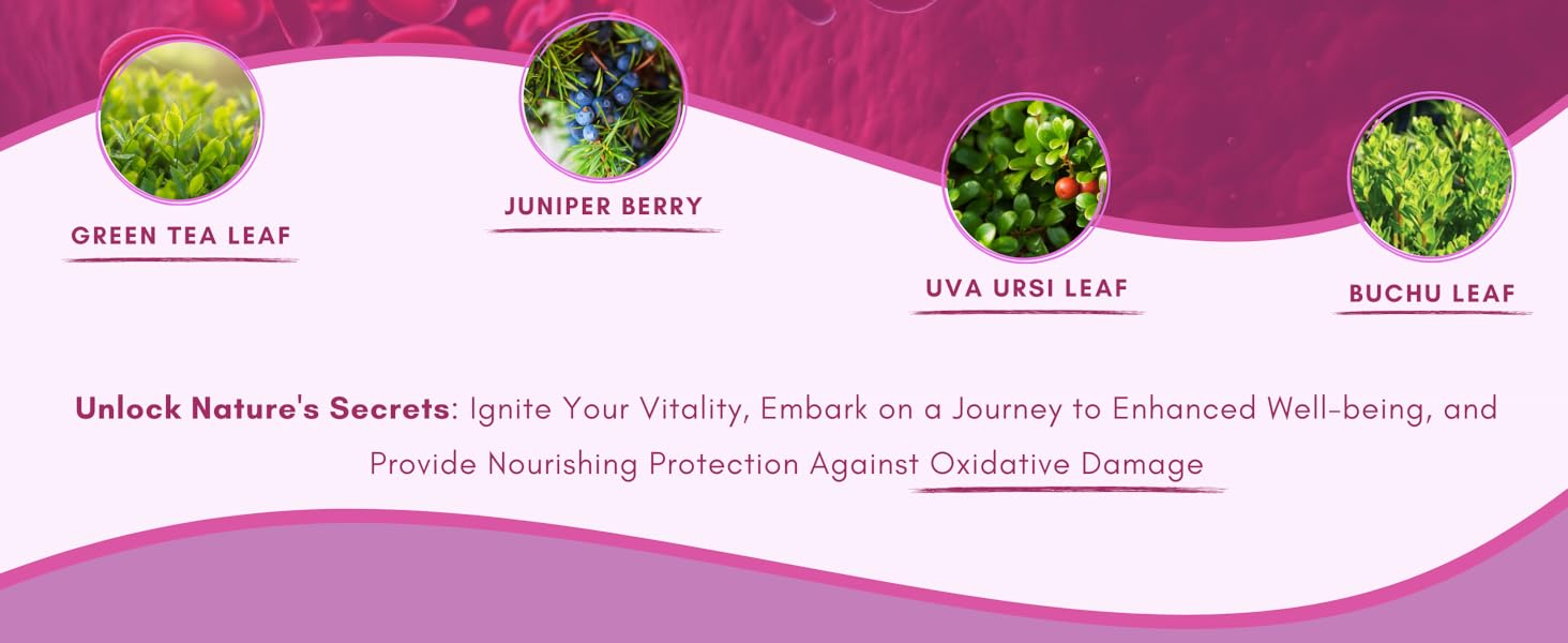 bp supplements herbal vitamins blood pressure hbp supplements