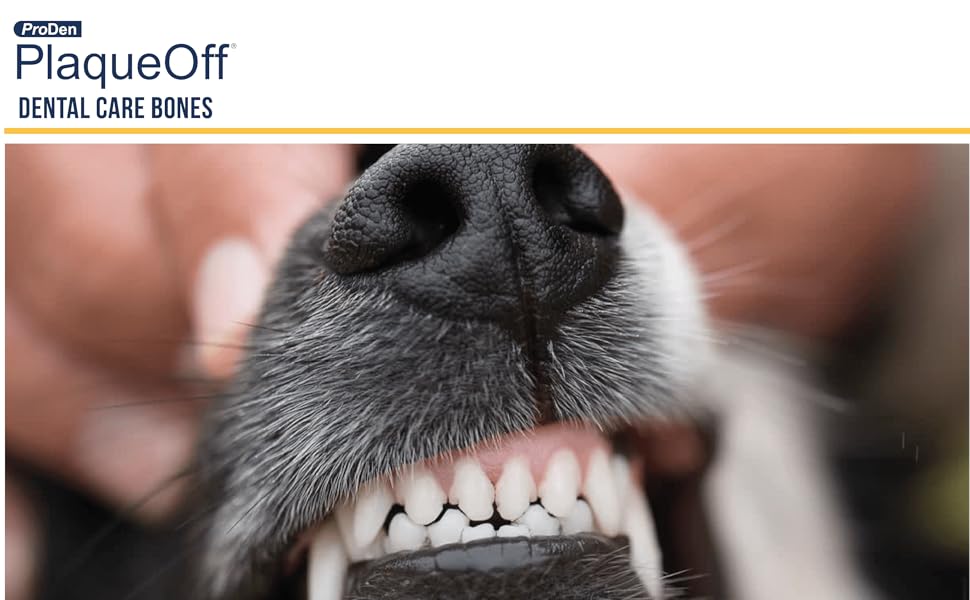 ProDen PlaqueOff Dental Bones Vegetable Fusion (13 Pack 485 g) for