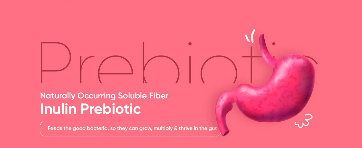 Probiotic Gummies with Prebiotic - 90 Tasty & Vegan Gummies - 2000 Million CFU