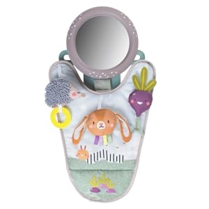 Urban Garden In-Car Activity Centre