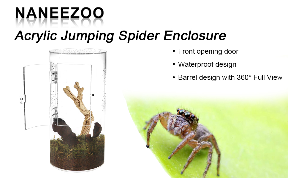 jumping spider enclosure 8