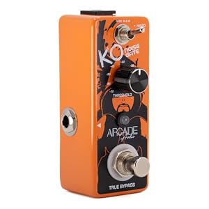 GAI / Damaging Noise 【レコード】 Swankys, The – 狂気の日本