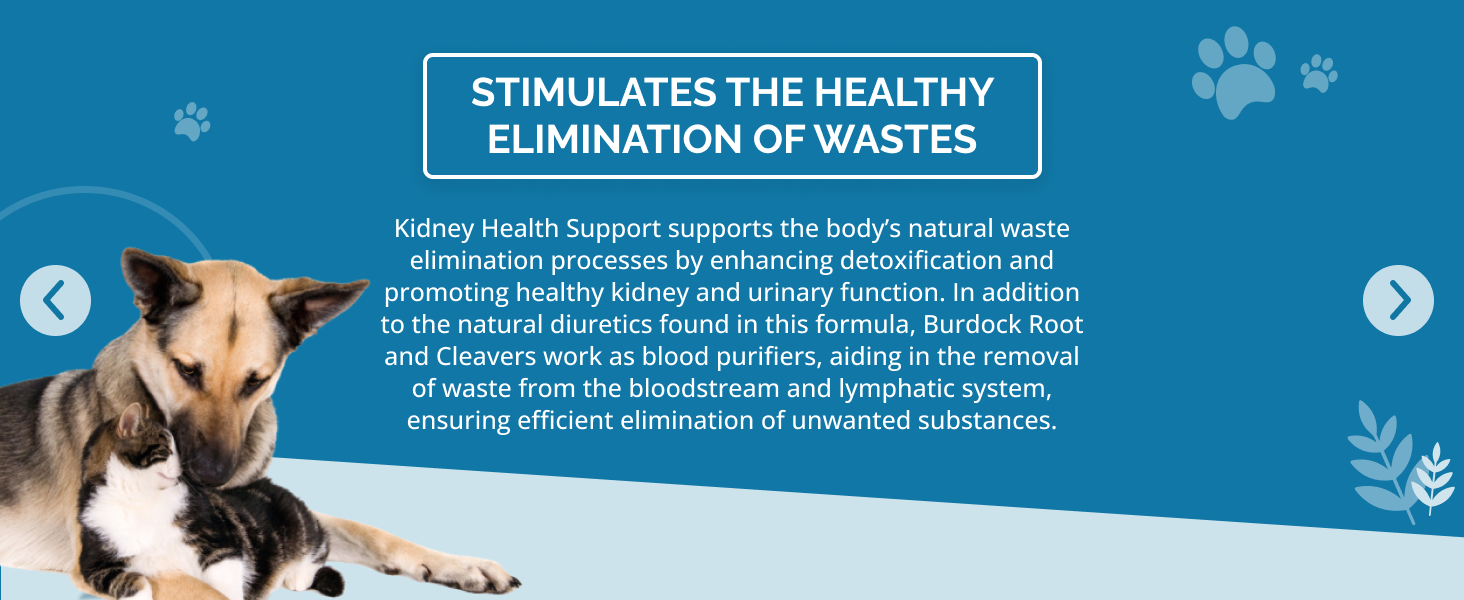 kidney health support stimulates natural elimination of wastes through the kidneys for dogs and cats