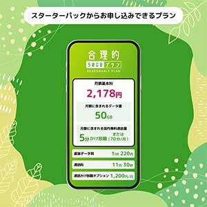 【5枚セット】日本通信SIM 合理的プラン スターターパック NT-ST-P 日本通信SIM スターターパック ボーナスストア対象ストア 申込