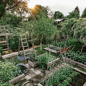 Kleine Freiheit Garten Glücklich im Schrebergarten Gemüse anbauen