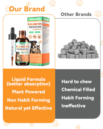 flea and tick prevention