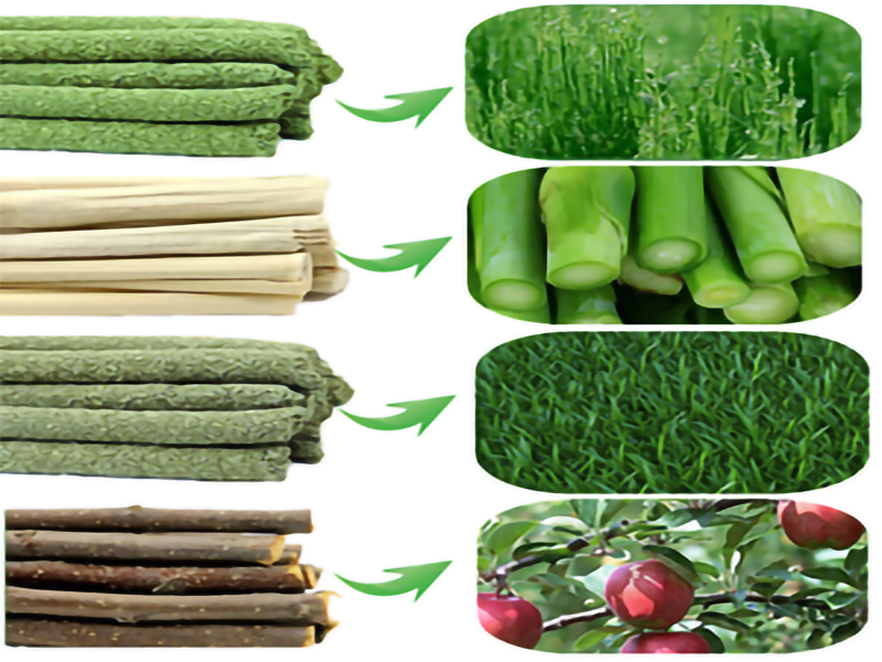 Bunny Chew Stick Rabbit Toy Treat Molar  Organic Natural Snack Apple Branch Sweet Bamboo Timothy