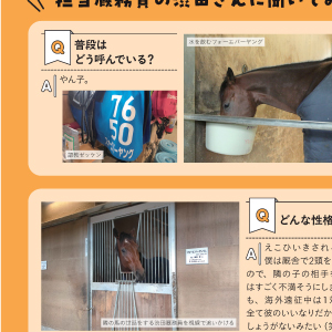 ガイドエッセイ 地方競馬の魅力 競馬場の歩き方 ガイドエッセイ 地方競馬の魅力 競馬場の歩き方 競馬場の歩き方: