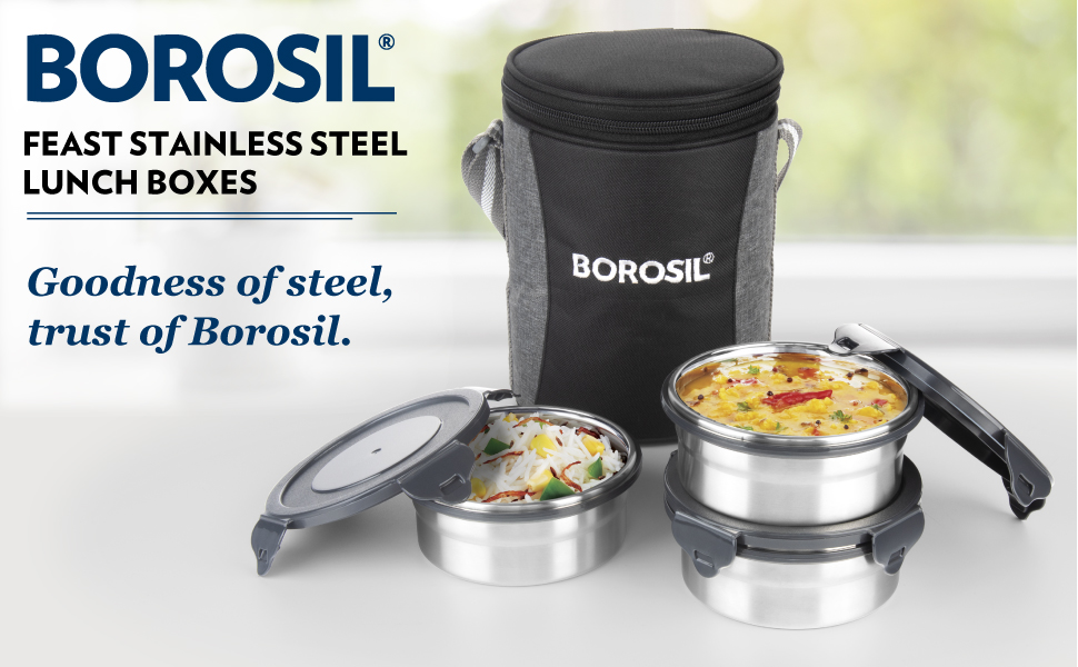 Buy Borosil Feast Stainless Steel Lunch Boxes with Carry Bag, Set of 4