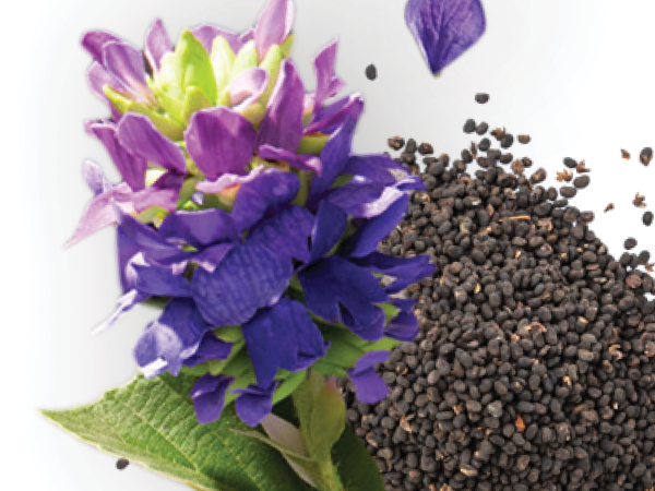 Eczema Honey products offer natural relief for irritated skin.