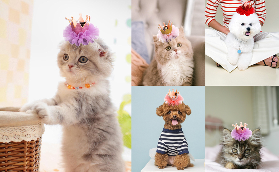 Pet Hair Clips