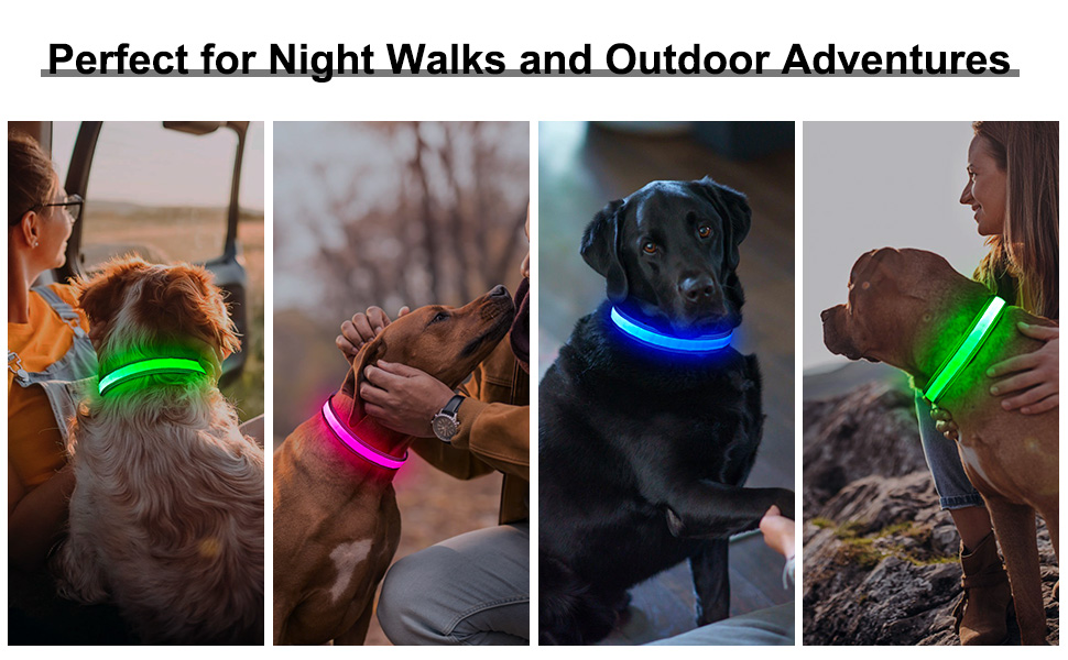 light up dog collar