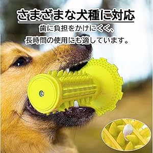 犬の品種