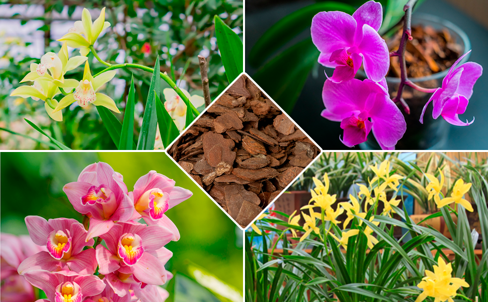 Orchid Bark for Plants 4 Quarts, Natural Pine Bark